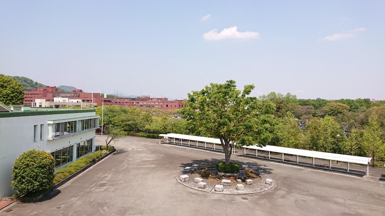 44 木②.JPG